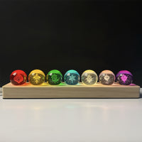 Seven-piece set D style oak strip base
